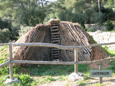 Les bois de Charbonnières