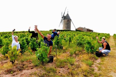 Sous les ailes du moulin