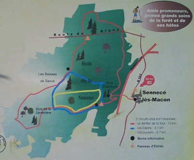 Le sentier de la tour