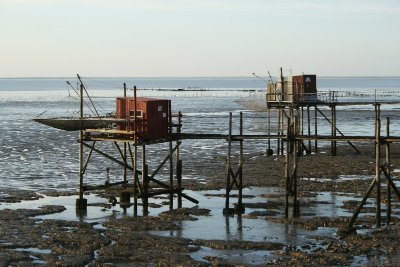 La Réserve naturelle nationale de la Baie de l'Aiguillon