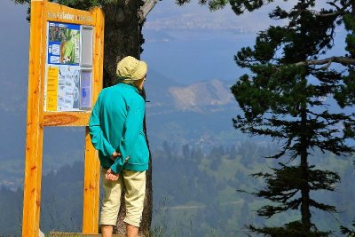Randonnée pédestre botanique de La Sambuy