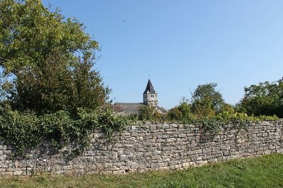 Fontaines au bois de Nainglet