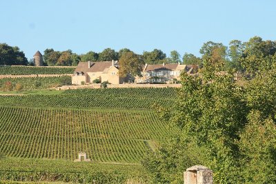 Balade verte à Poncey vignes, clos et cadoles