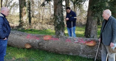 Balade Verte - Le Chêne à La Dame (CH 1)