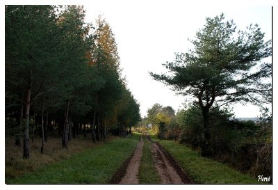 Sentier de Frettes à Montarlot