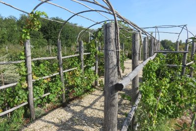 Jardins Labyrinthe de Vignes