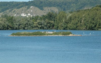 Réserve Ornithologique de la Grande Noé