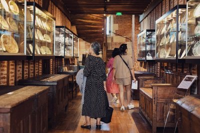 Vitrines d'actualité - À la table des faïenciers