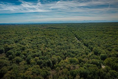 MASSIF FORESTIER DE BOUCONNE