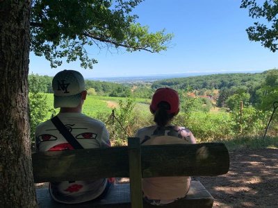 Sentier viticole du Gottestal