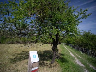 Espace Naturel Départemental : le sentier des Azurés