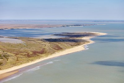 Plage naturiste de la Pointe d'Arçay