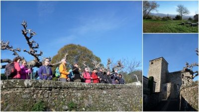 PLATEAU BASALTIQUE DE LA GERMANE