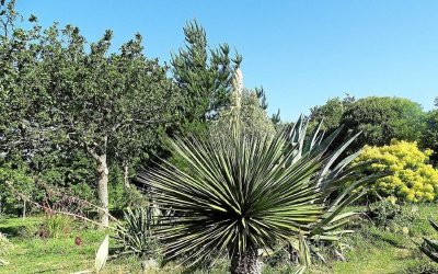 Parc Botanique Ar Paëron