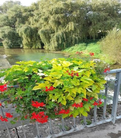 Château-Porcien - Village Fleuri "2 fleurs"