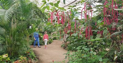 La Serre aux Papillons