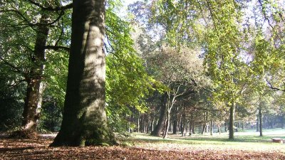 Le domaine du Vert Bois