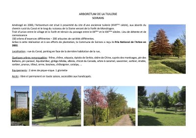 Arboretum de la Tuilerie