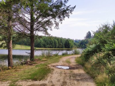 Presipauté de Grosland