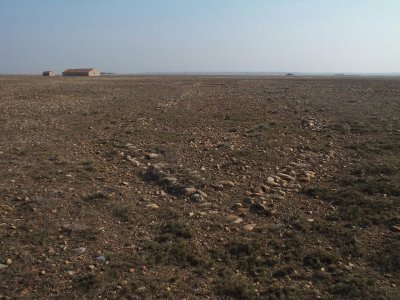 Les coussouls de la Crau