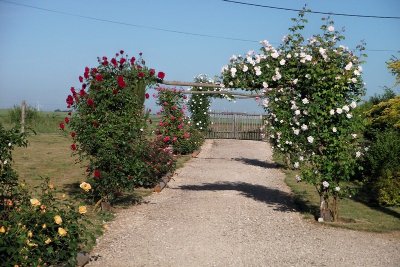 Le Jardin des 4 saisons