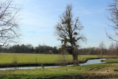 Route touristique de la vallée du Ton