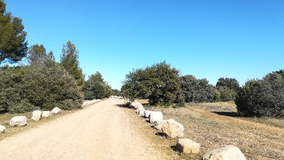 SAINT-RÉMY-DE-PROVENCE - À la rencontre des oiseaux de la Petite Crau