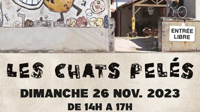 Les œuvres des Chats Pelés hors les murs