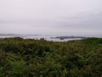 Site naturel de Bringwiller