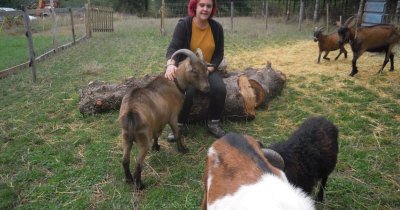 Association la Ferme des Irréductibles