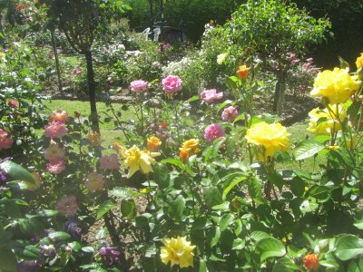 La Roseraie de Brigitte