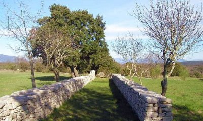 SENTIER DES ASPHODELES SUR LE CAUSSE DE L'HORTUS