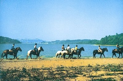 CENTRE EQUESTRE LE VAL ARBIN