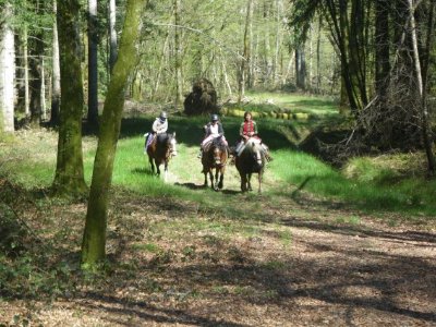 FERME EQUESTRE DU GRAND SAPIN A CHAUDENAY