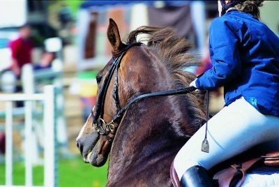 CENTRE DE TOURISME EQUESTRE LA FAZENDA