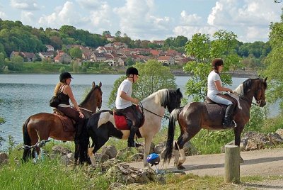 CENTRE EQUESTRE DE MELVILLE