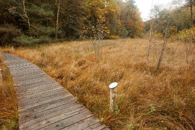 MARAIS DE CHALMESSIN