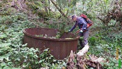 COMBES DES FOURNEAUX ET DE CHAUMONT DANS LES BOIS D'OZIERES