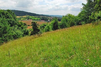 MARAIS ET PELOUSES DE LA COTE AUX CANNES