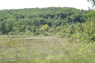 MARAIS DE PRE VACHER ET BOIS DU VAL SAINT-MARTIN