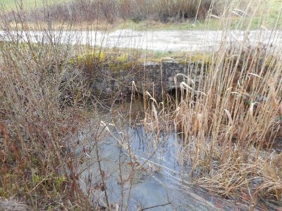 MARAIS DE LA COMBE VERMENON