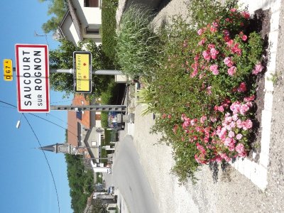 COMBE DE BENNE A SAUCOURT-SUR-ROGNON ET DOMREMY-LANDEVILLE