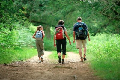 SENTIER SYLVICOLE ET BOTANIQUE DE NOGENT