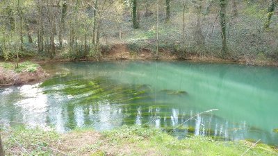 PELOUSE SECHE DU CREUX JANIN