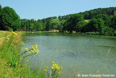 MARAIS TUFEUX DE BELVAU