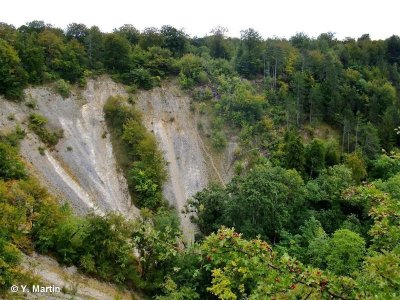 VALLON DU CUL DU CERF ET CÔTEAUX DE LA VIERGE A ORQUEVAUX
