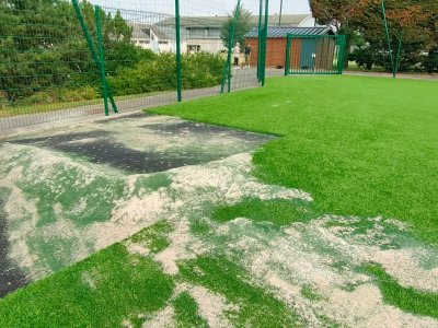 PELOUSE D'AU DESSOUS DES VEVRES