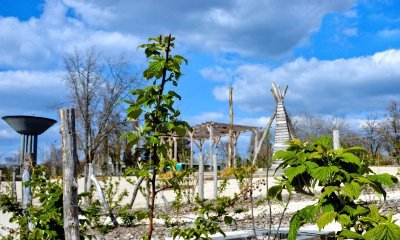 LE JARDIN DES POSSIBLES
