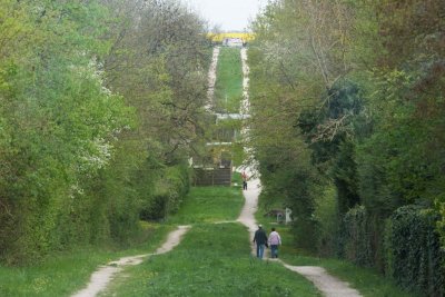 BOIS DES FALAISES ET DU VALLON DE LA DHUIS