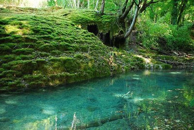 TUFIERE DE ROLAMPONT